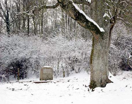 The Source of the Thames