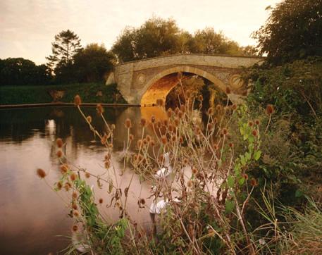 Tadpole Bridge